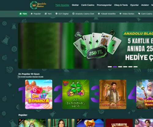 Anadolu Casino ekran görüntüsü