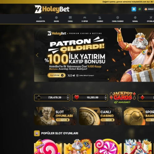 Holeybet ekran görüntüsü