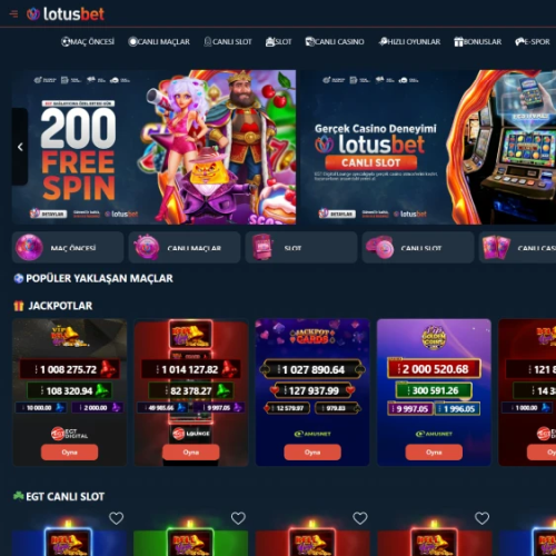 Lotusbet ekran görüntüsü